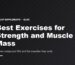 Best Exercises for Strength and Muscle Mass