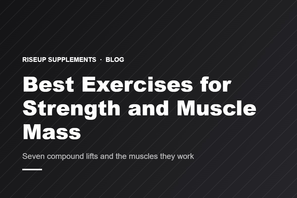 Best Exercises for Strength and Muscle Mass
